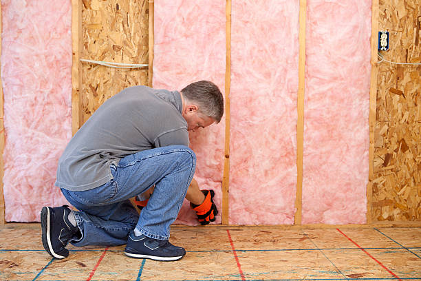 Best Residential Insulation Services  in New Carlisle, OH
